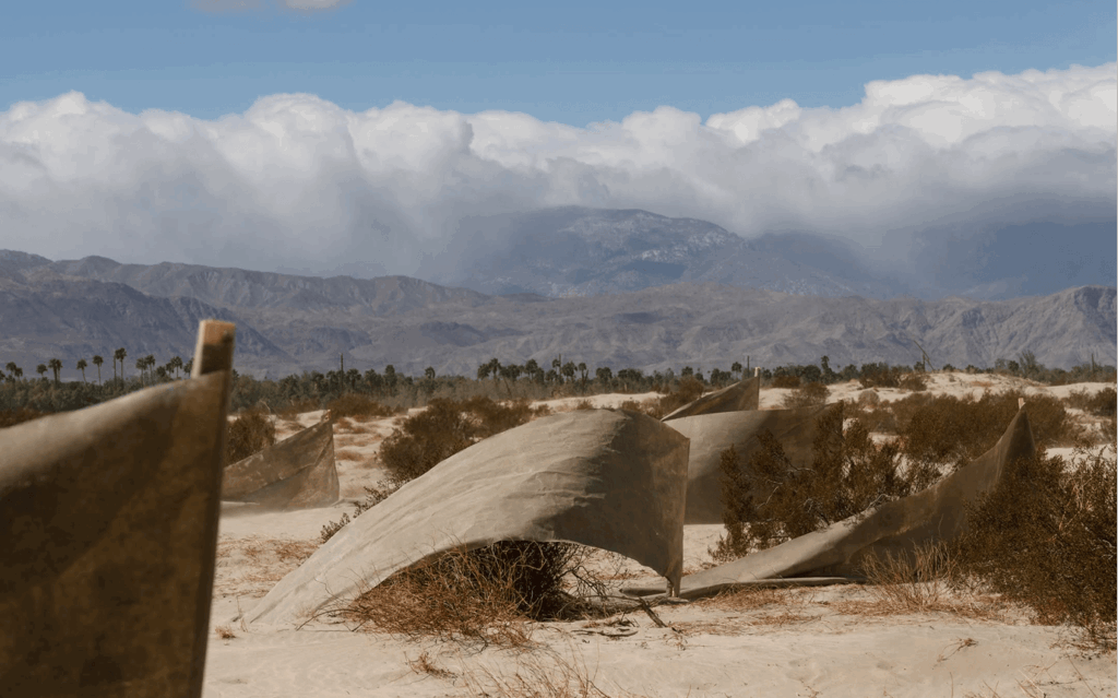 ‘Hikmah’: the inaugural exhibition at the soon-to-open Centre for Contemporary Arts Tashkent 3 Centre for Contemporary Arts Tashkent