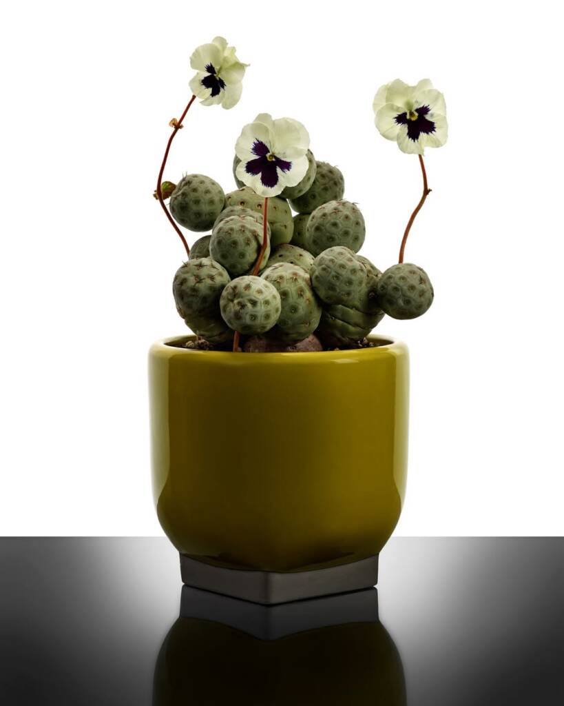 Kris Van Assche enters the world of collectible design at Milan Design Week 2026 1 Milan Design Week
Kris Van Assche