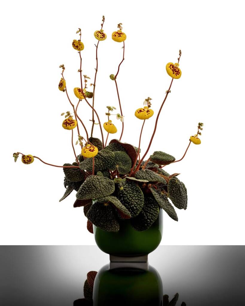 Kris Van Assche enters the world of collectible design at Milan Design Week 2026 3 Milan Design Week
Kris Van Assche