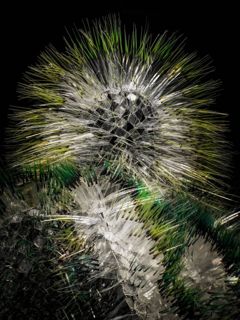 ITS Contest 2026 winners announced: a spotlight on emerging talent at Trieste’s ITS Arcademy 16 ITS Contest 2026
ITS Arcademy
emerging designers
Chloë Reners