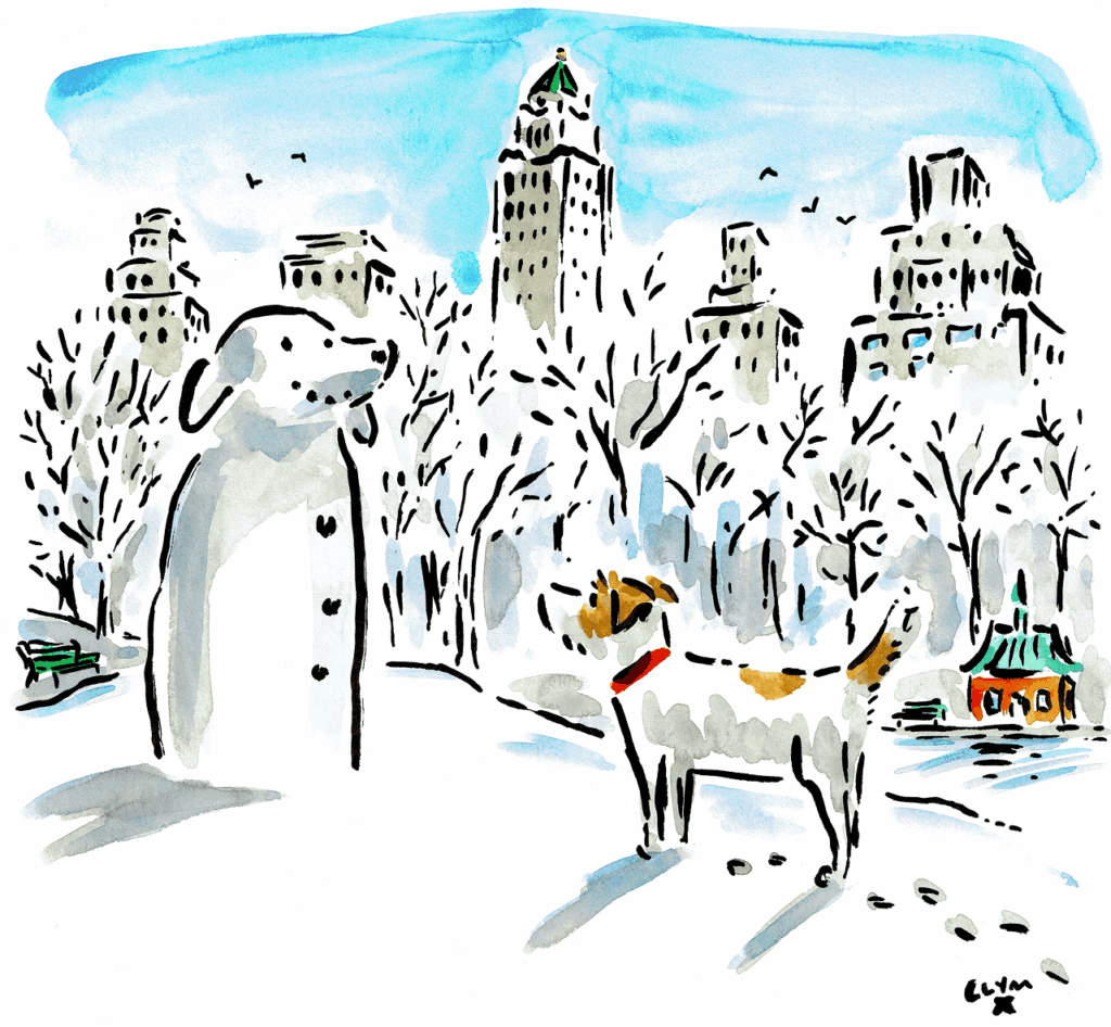 Clym Evernden
illustrations for fashion
brand illustrations