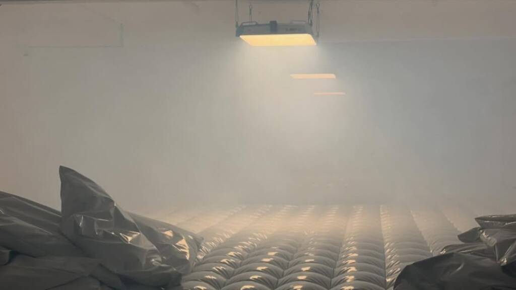 Air Liquid Max
Nike and Resident Advisor
Tom Schneider