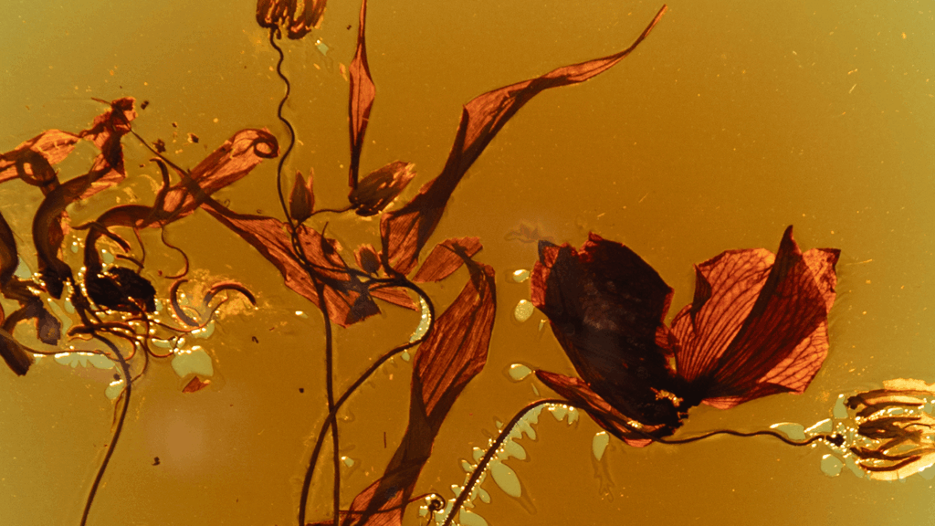 Marcin Rusak
Milan Design Week 2026
Milan Design Week