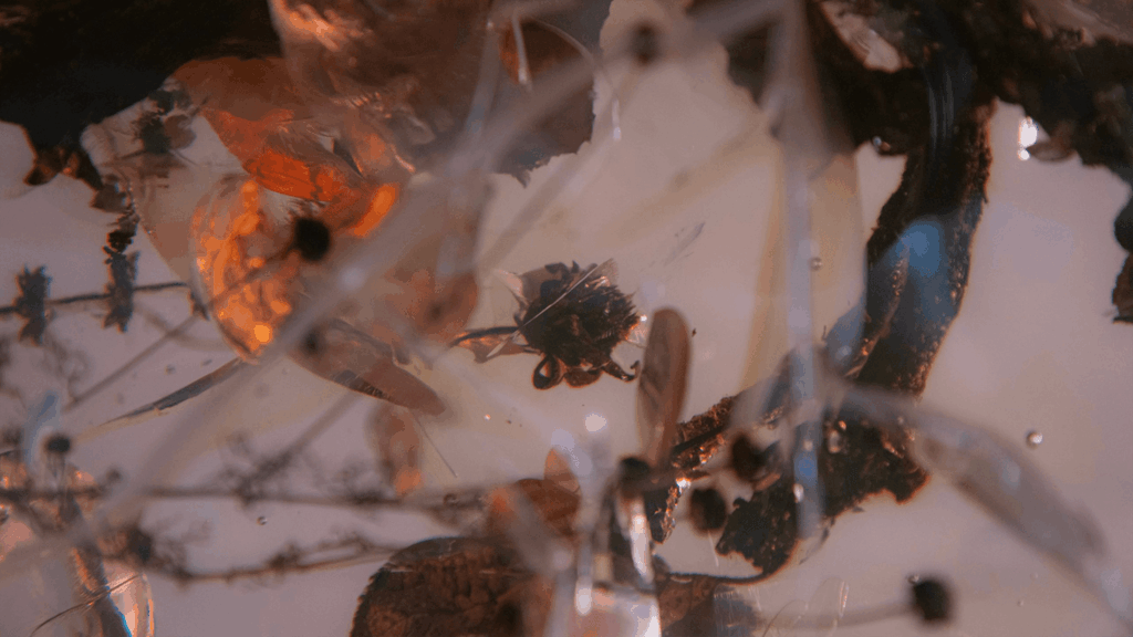 Marcin Rusak
Milan Design Week 2026
Milan Design Week