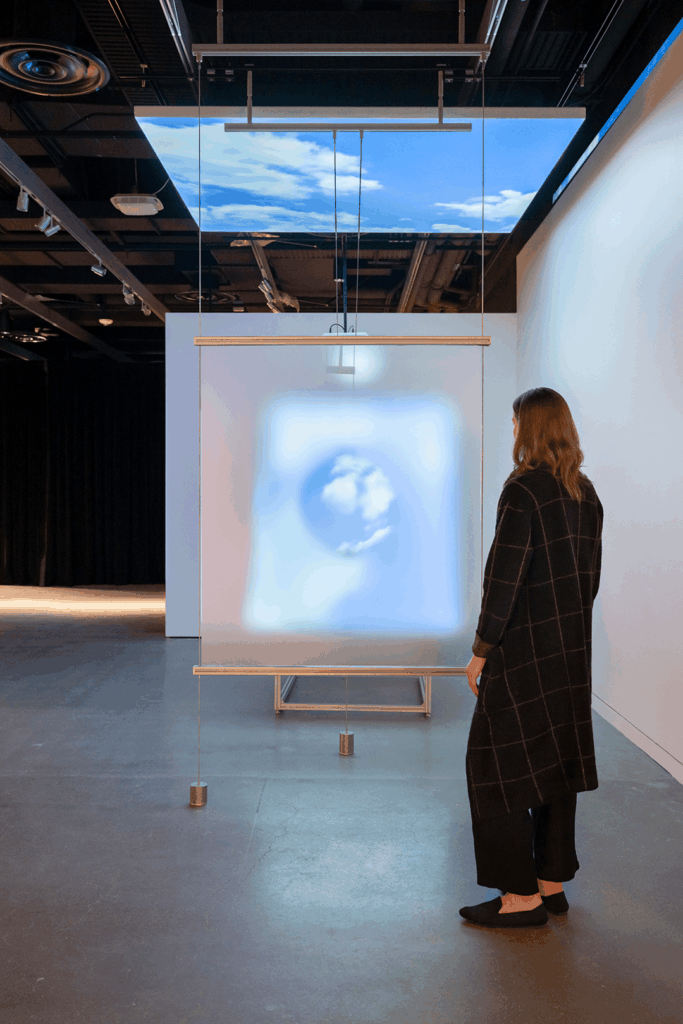 multi sensory art exhibition
art and biology
mit museum events