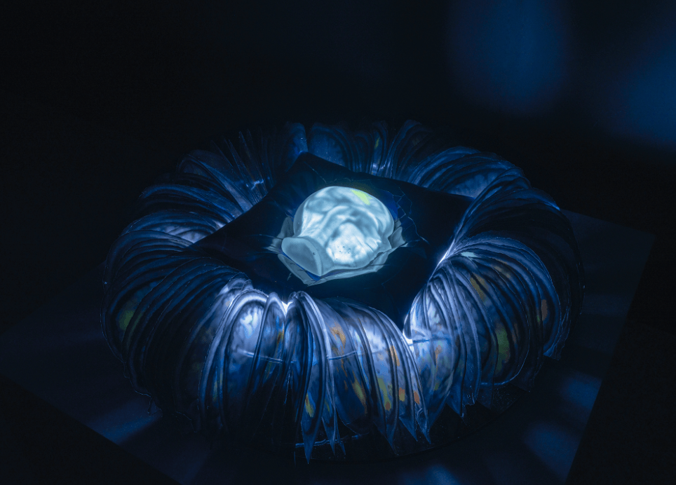 multi sensory art exhibition art and biology mit museum events