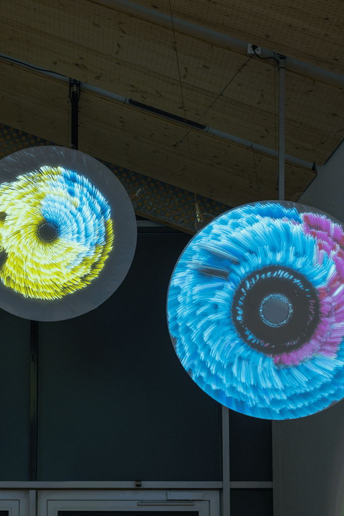 multi sensory art exhibition
art and biology
mit museum events