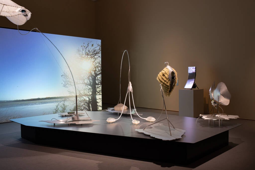 Superflux
Craftocene
speculative future
speculative design