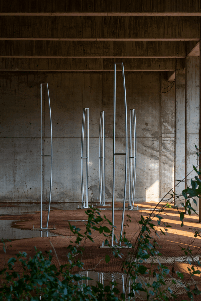 African contemporary art
Limbo museum
spatial ecology
institutional flexibility