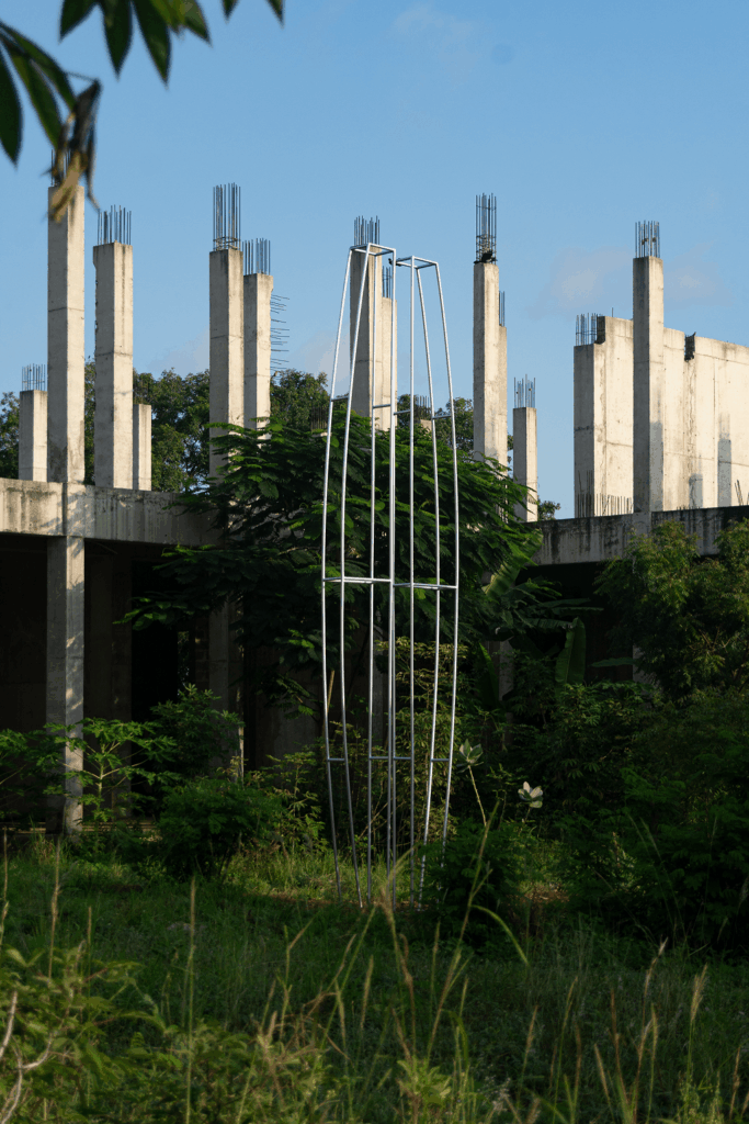 African contemporary art
Limbo museum
spatial ecology
institutional flexibility