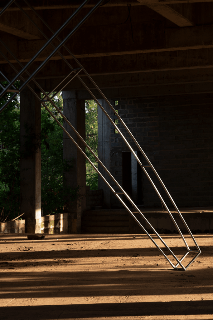 African contemporary art
Limbo museum
spatial ecology
institutional flexibility