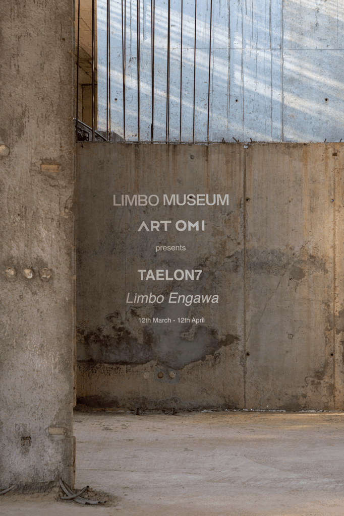 African contemporary art
Limbo museum
spatial ecology
institutional flexibility