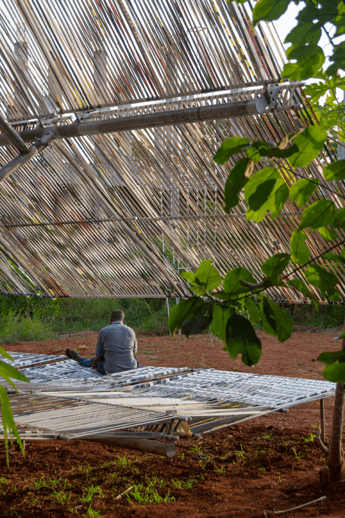 African contemporary art
Limbo museum
spatial ecology
institutional flexibility