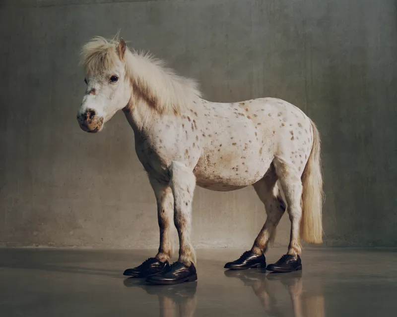 Lisa Jahovic’s ‘Soft Interruptions’ finds surreal beauty in the ordinary 4 Lisa Jahovic
conceptual photography