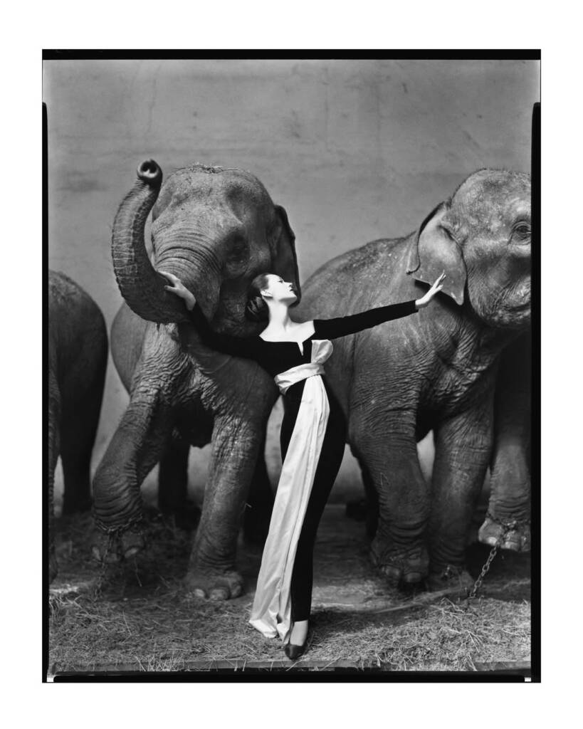 Richard Avedon
20th century photography