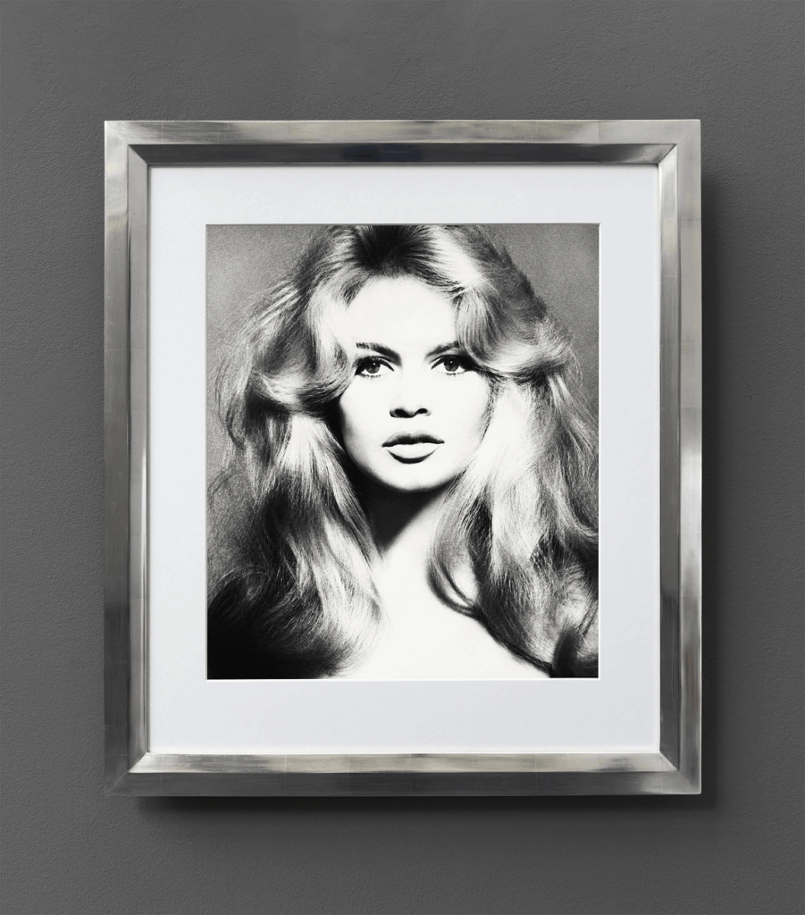 twentieth century photography
fashion photography