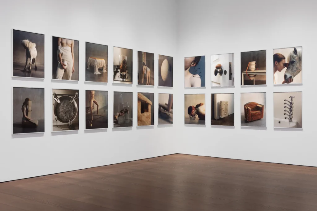 Lisa Jahovic’s ‘Soft Interruptions’ finds surreal beauty in the ordinary 7 Lisa Jahovic
conceptual photography