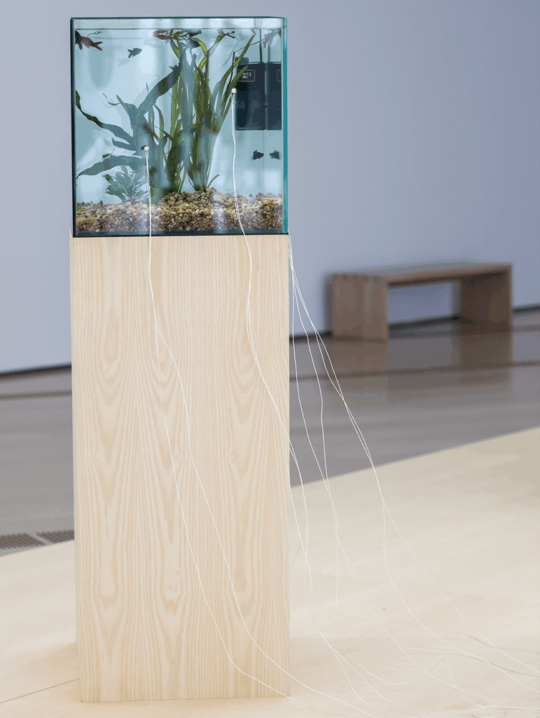 Yuko Mohri
Kinetic sculptures