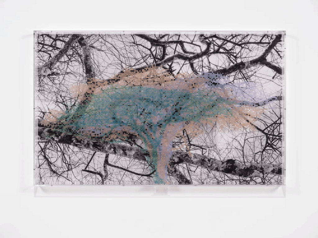 Mapping identity through trees and texts: Charles Gaines’ new Paris exhibition 2 artist Charles Gaines