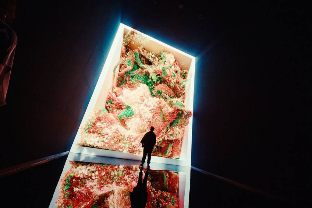 DATALAND opens in Los Angeles: the first Museum of AI Arts, dreams in data, nature, and light 2 DATALAND
dataland los angeles
AI art museum