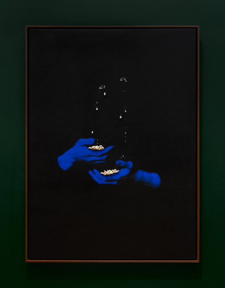 Elliot and Erick Jiménez
Bad Bunny on TIME magazine
cultural memory
symbolism in photography