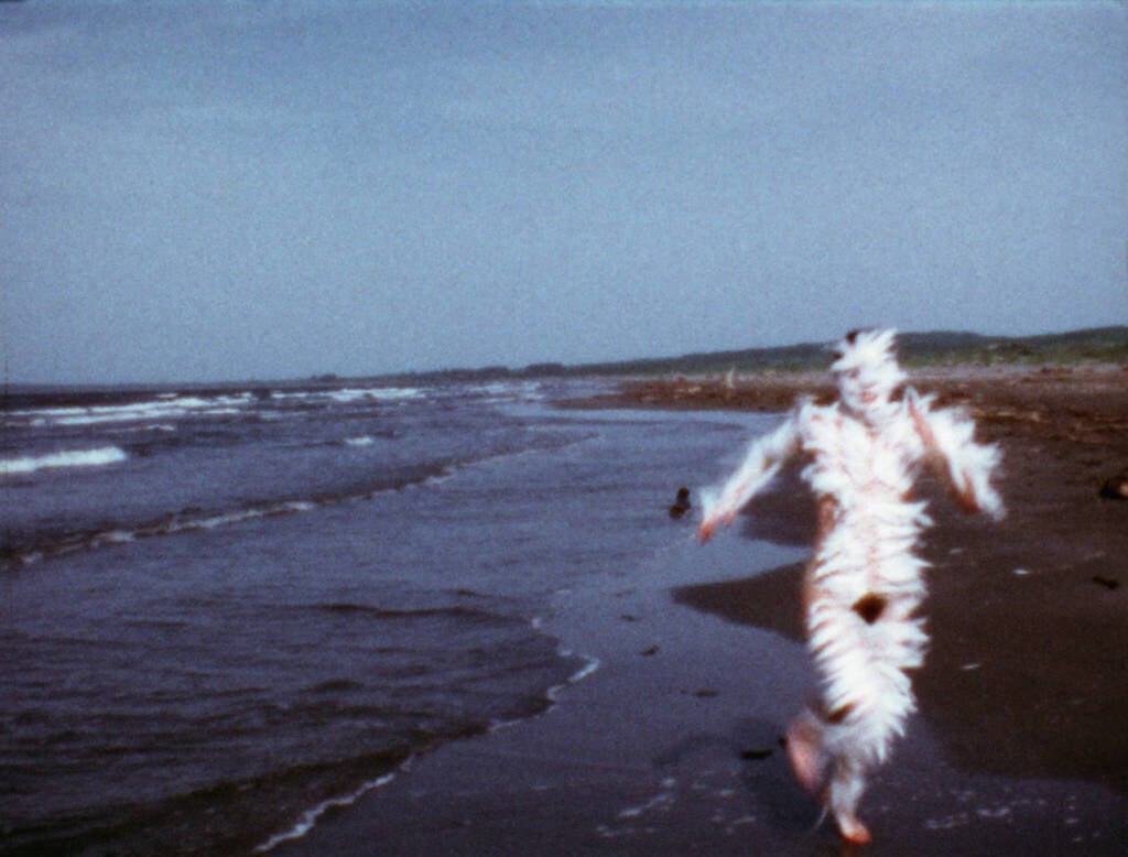 Home 9 Ana Mendieta Bird Run 1974. © The Estate of Ana Mendieta Collection LLC. Licensed by Artist Rights Society ARS New York. DACS 2026. Courtesy Marian Goodman Gallery and Alison Jacques London 1