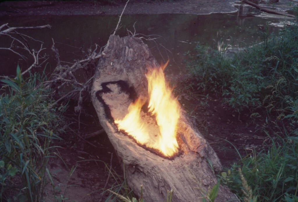 Tate Modern spotlights the groundbreaking work of Ana Mendieta 3 Ana Mendieta exhibition
women artists
ana mendieta works