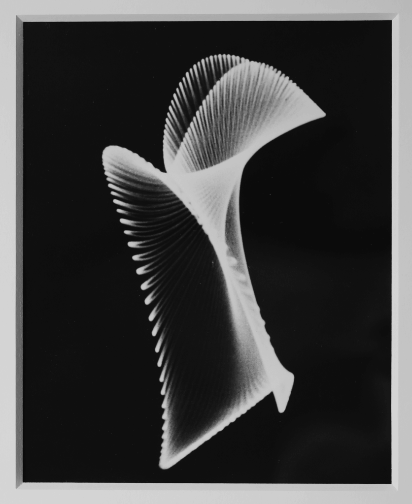 0xDEAFBEEF
Art Basel
generative art
AI and art