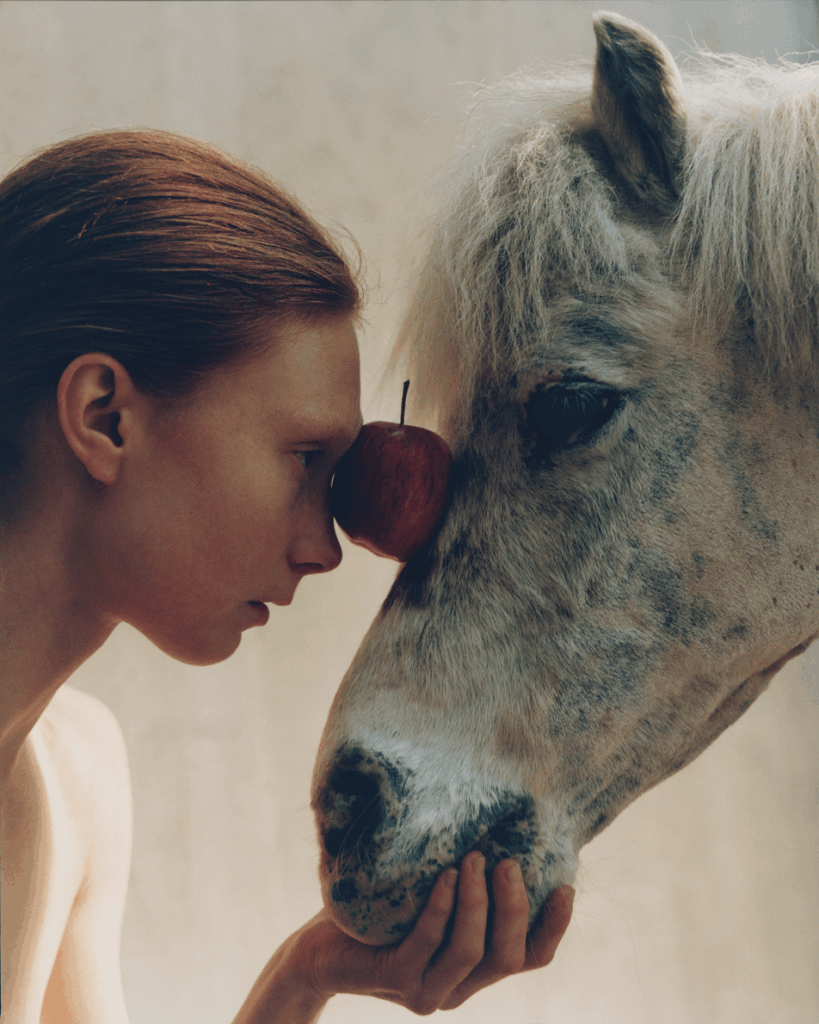 For Lisa Jahovic, time is material 4 Lisa Jahovic
Humour in art
analogue photography
everyday objects in art