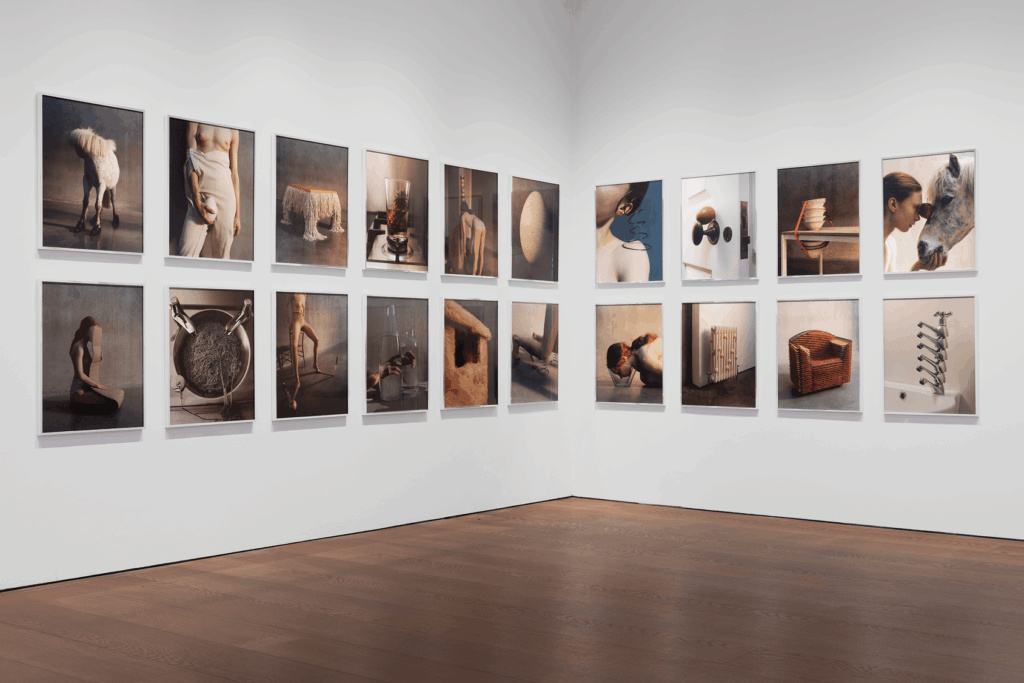 For Lisa Jahovic, time is material 12 Lisa Jahovic
Humour in art
analogue photography
everyday objects in art