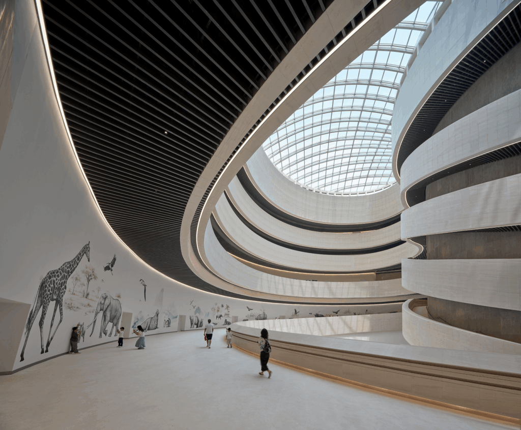 Shenzhen Natural History Museum museum architecture sustainable architecture