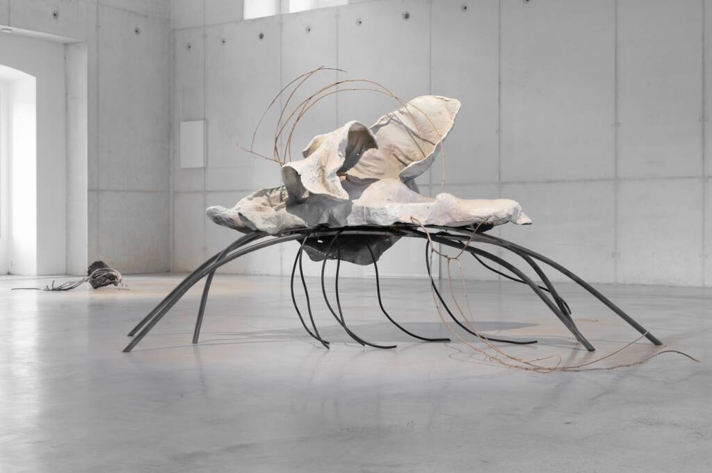 yein lee
biomorphic sculptures
contemporary sculpture