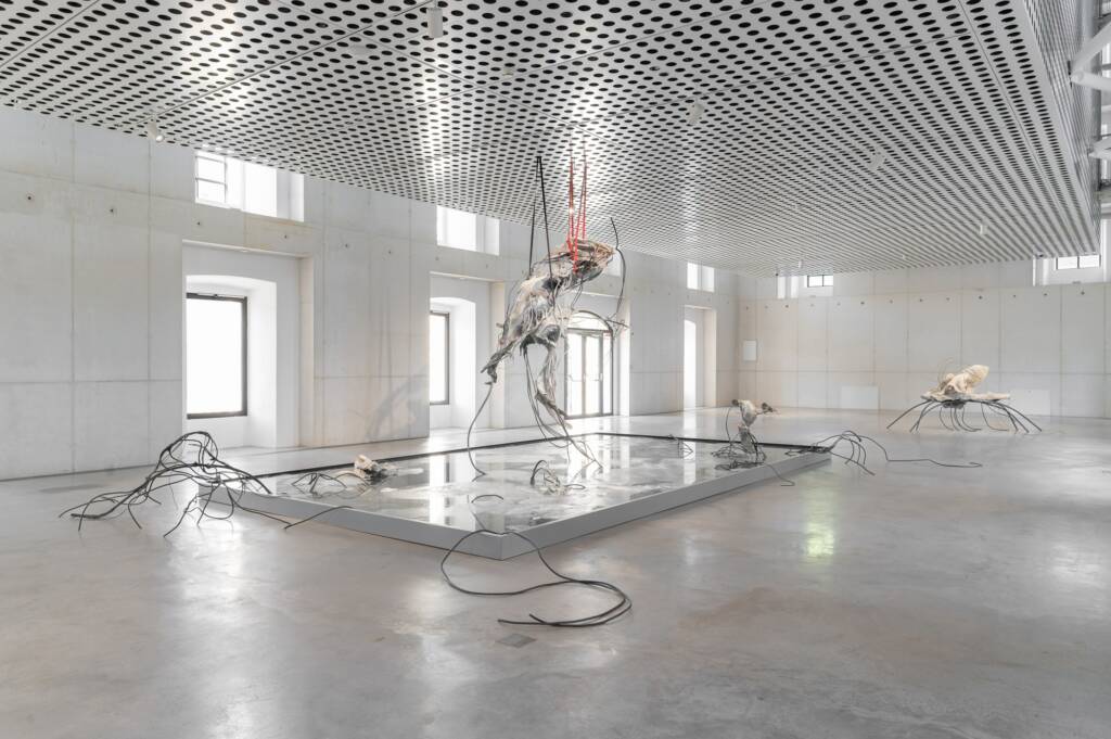 yein lee
biomorphic sculptures
contemporary sculpture