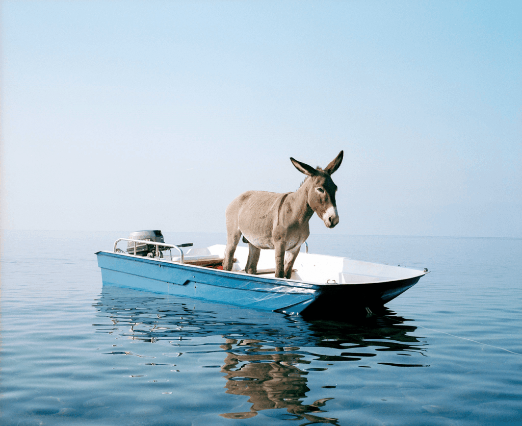 Italian contemporary art
Maurizio Cattelan
postwar art