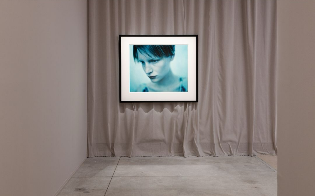 photographer Paolo Roversi
fashion photography
iconic fashion photography