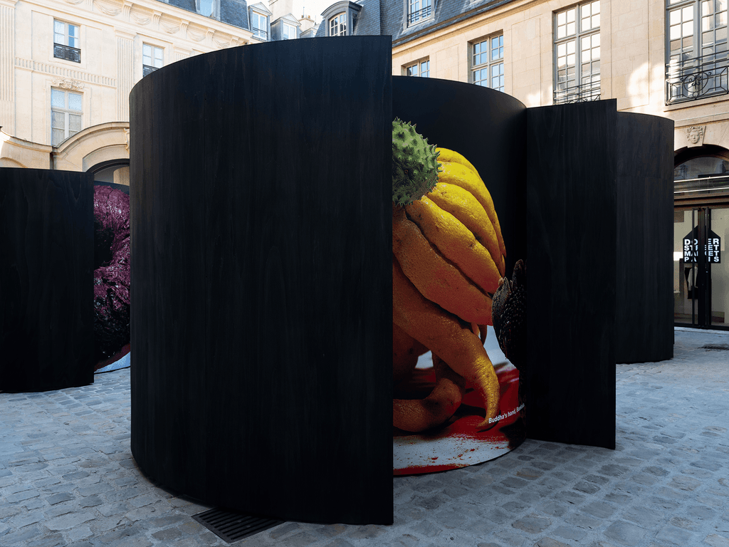 Blurring the line between beauty and decay: Yukio Nakagawa’s avant-garde flowers at Dover Street Market Paris 8 Yukio Nakagawa
dover street market paris