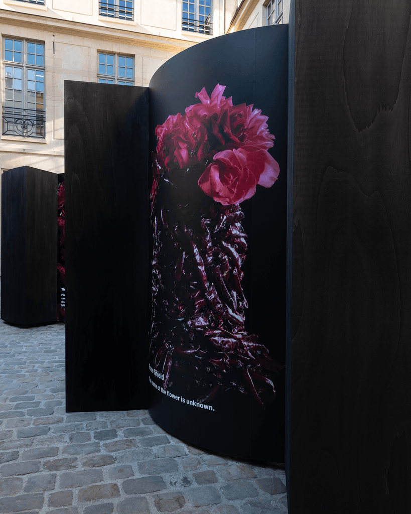 Blurring the line between beauty and decay: Yukio Nakagawa’s avant-garde flowers at Dover Street Market Paris 7 Yukio Nakagawa
dover street market paris