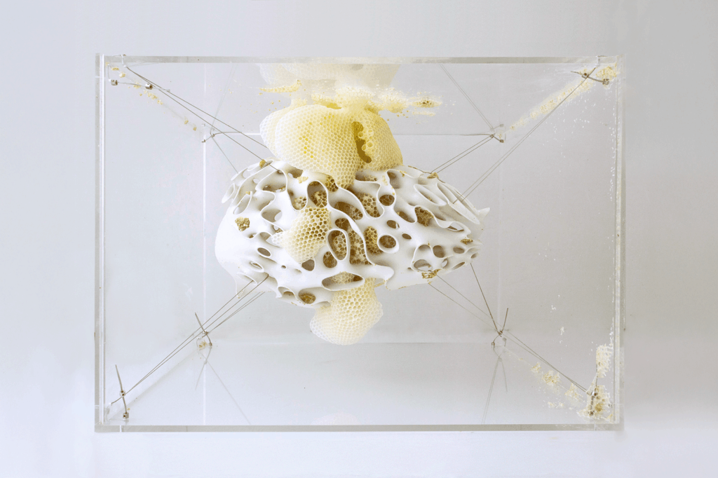Neri Oxman’s ‘Mediated Matter’: a manifesto for the future of design and a more symbiotic world 3 Neri Oxman
future of design
Material Ecology
biology and design