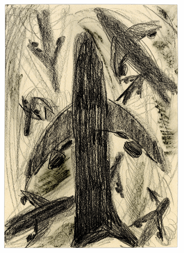 Jiahe Zhang
Ubuntu philosophy
Age of Aquarius
art and memory