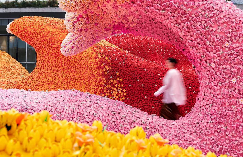 LEGO Bloom
LEGO Exhibition
shanghai art center