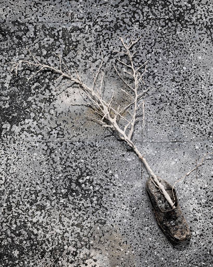The hidden life of things: Anselm Kiefer’s art of history, nature and transformation 5 Anselm Kiefer
monographic exhibition
